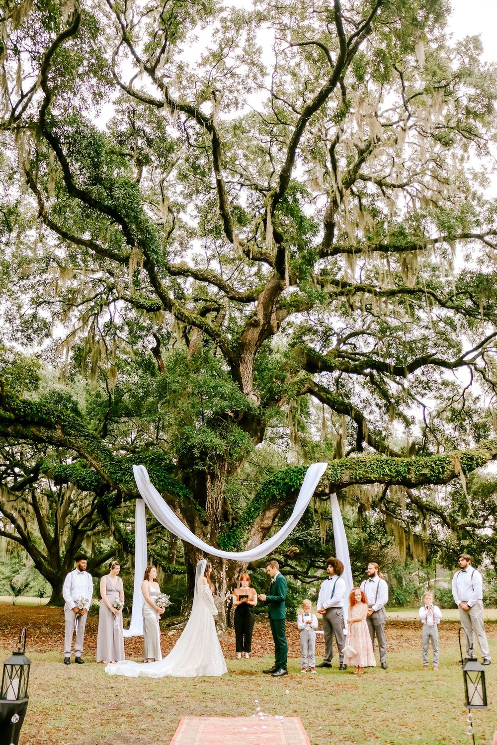 Outdoor wedding ceremony setup with white arch under massive oak tree draped in Spanish moss.