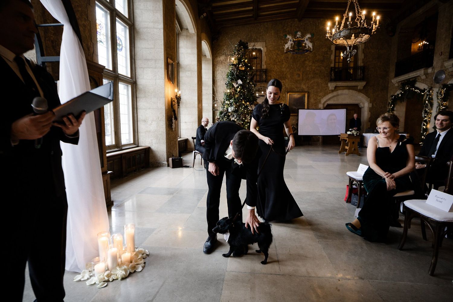 Groom greets a small black dog in the aisle as guests smile beside a Christmas tree at a Banff Springs winter wedding