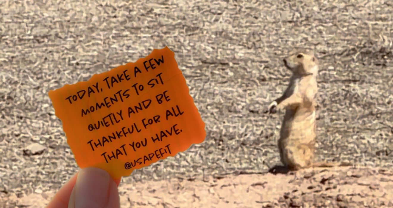 Prairie dog stands upright beside an orange sticky note with a gratitude mindfulness quote outdoors.