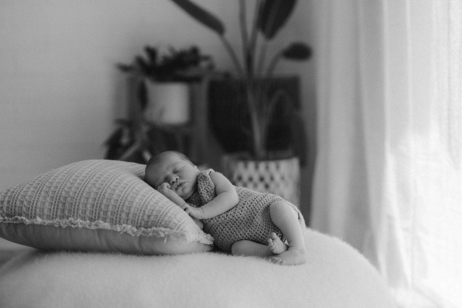 Black and white portrait of sleeping baby on cushion with houseplant in background.