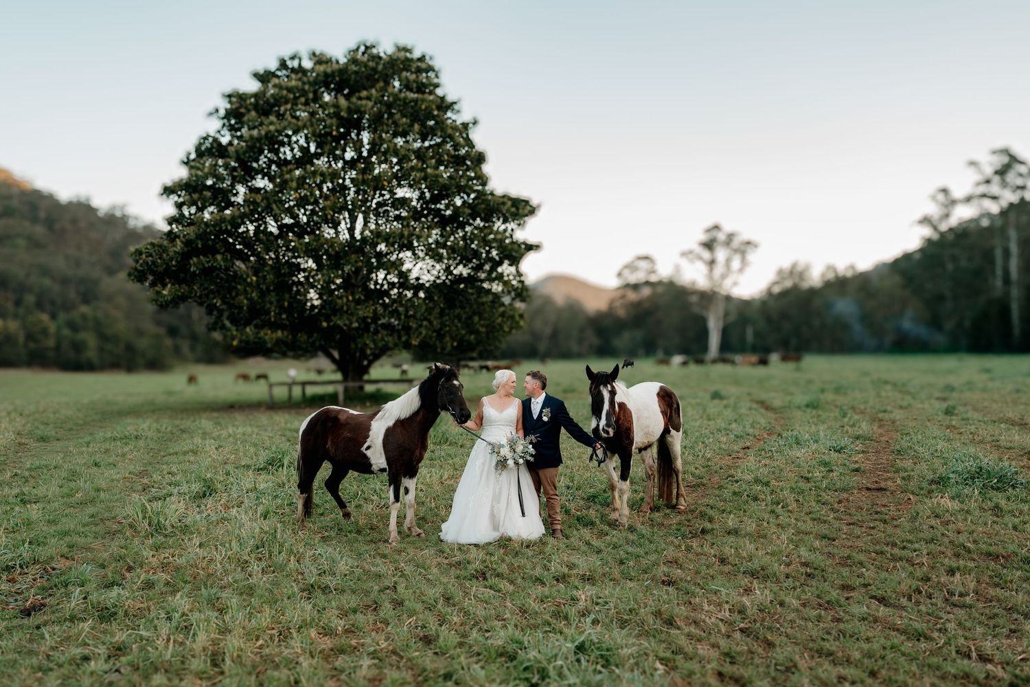 Bride and groom stand between two paint horses in a lush green field with a large tree at dusk.