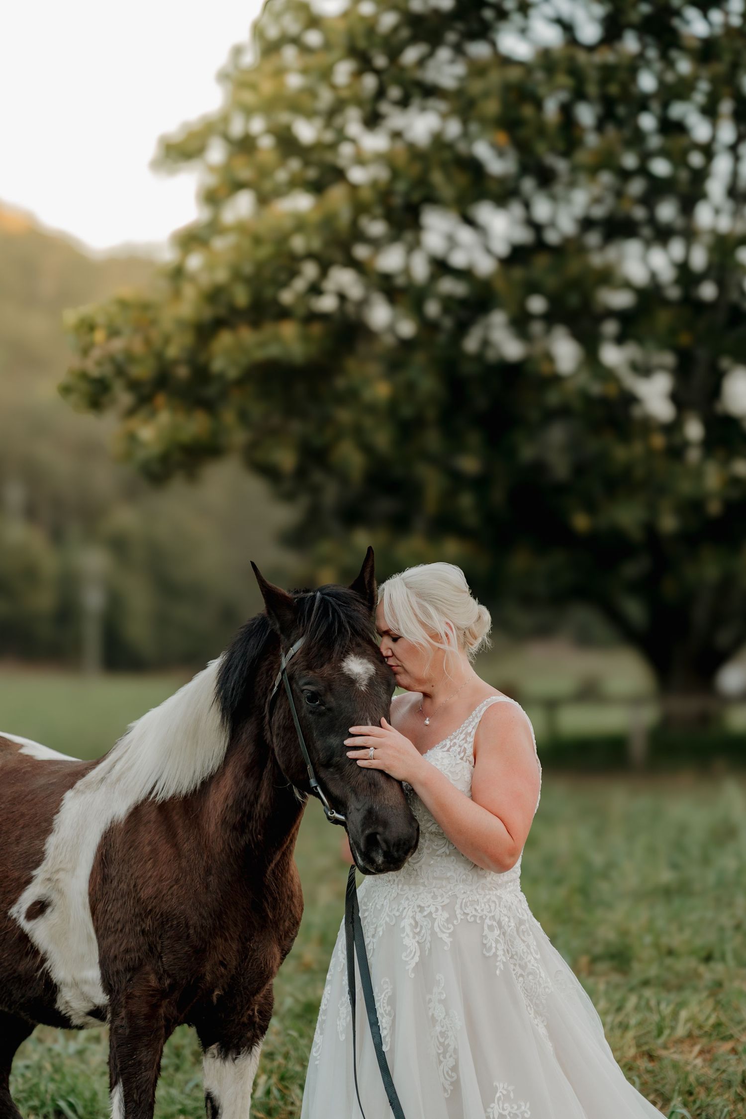 Bride in white lace gown tenderly kissing a brown and white paint horse in a lush green field at golden hour.