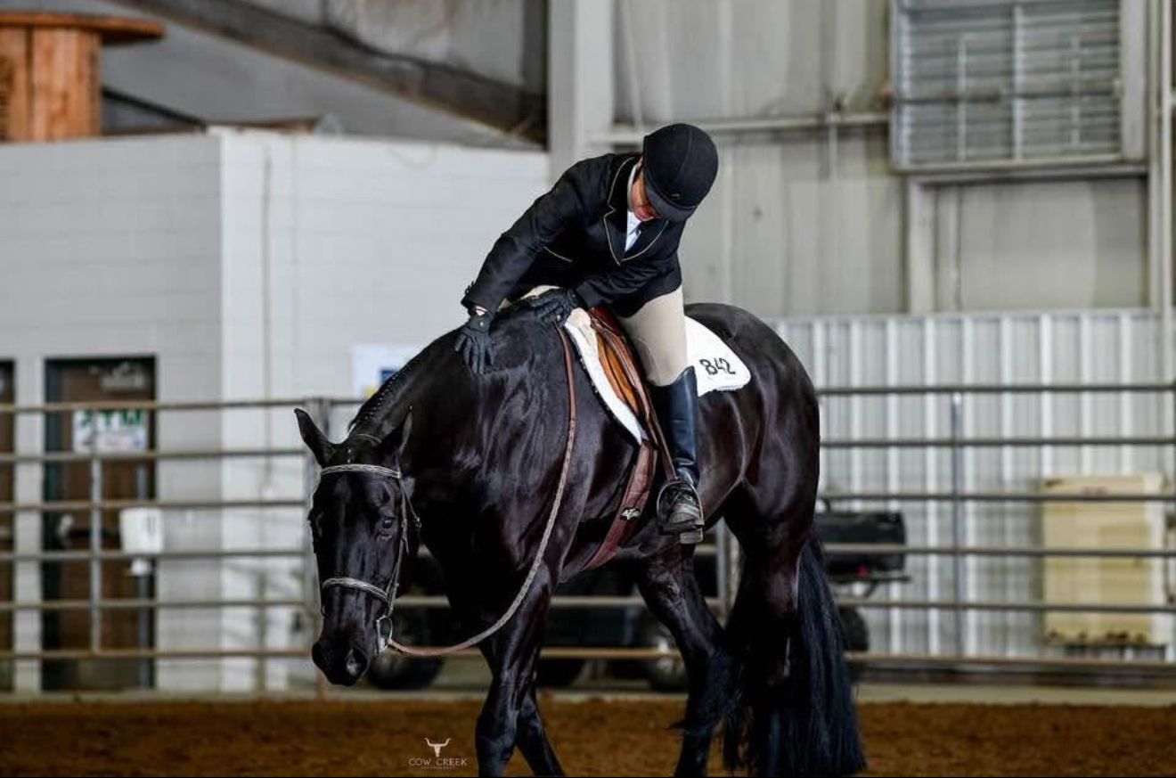 Equestrian rider in black jacket competing on dark horse at Husker Classic indoor horse show competition.
