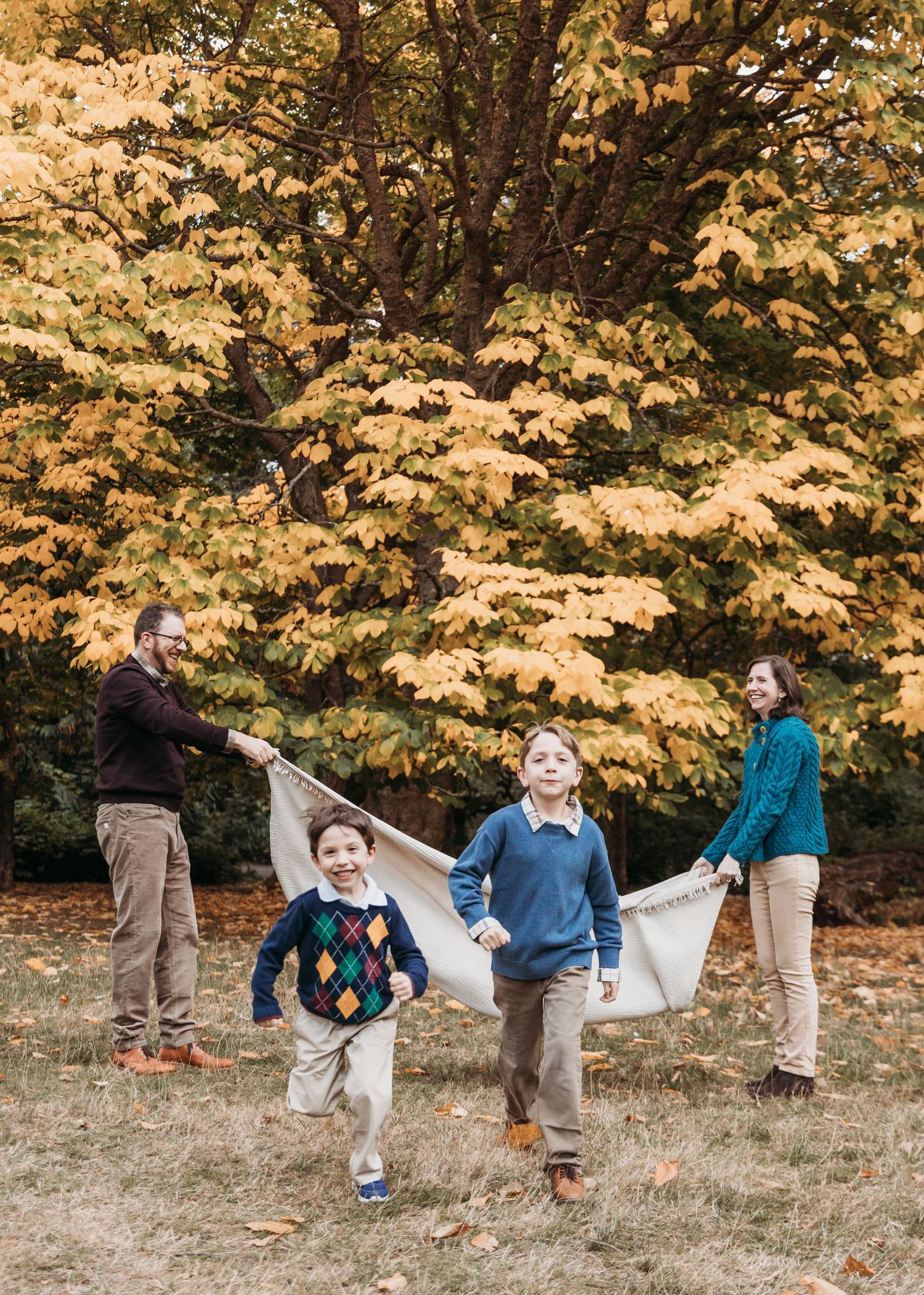 Family of four playing outdoors under a golden autumn tree as two children run while parents hold a large cloth between them.