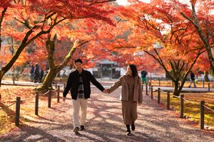 Couple holding hands walking under vibrant red autumn maple trees in a scenic Japanese park during fall foliage season.
