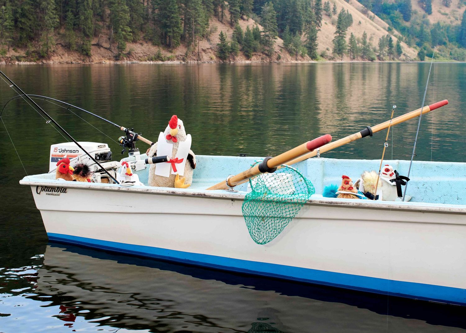 Chicken family fishing from a boat on a lake.  Looks this Papa chicken may have caught a fish!