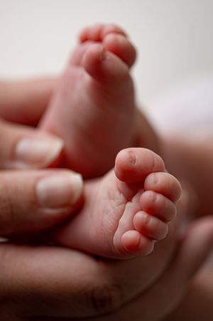 Adult hands gently cradling the tiny bare feet of a newborn baby against a soft, neutral background.