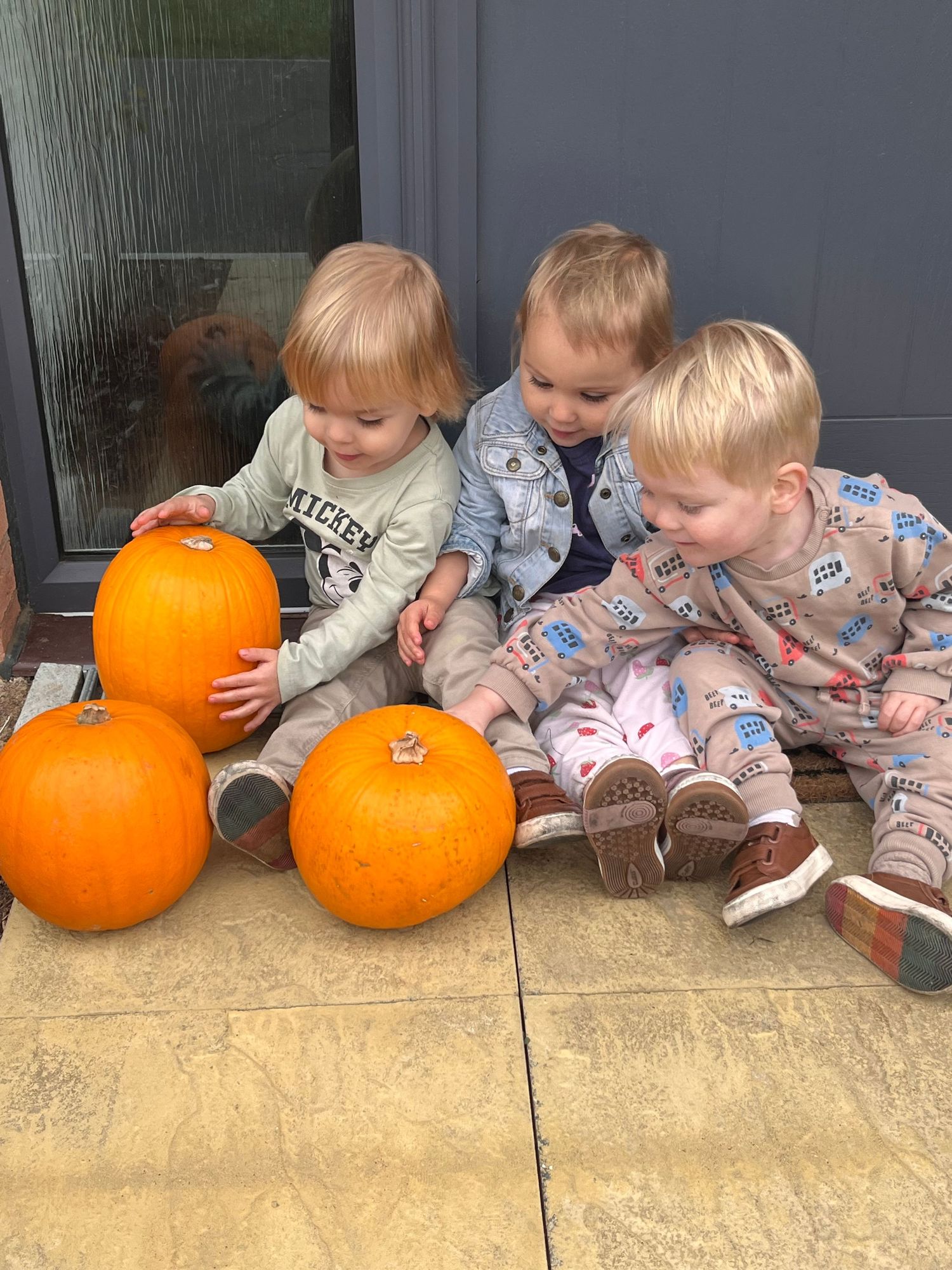 Three toddlers with blonde hair sit on a doorstep examining three bright orange pumpkins in an autumn scene.