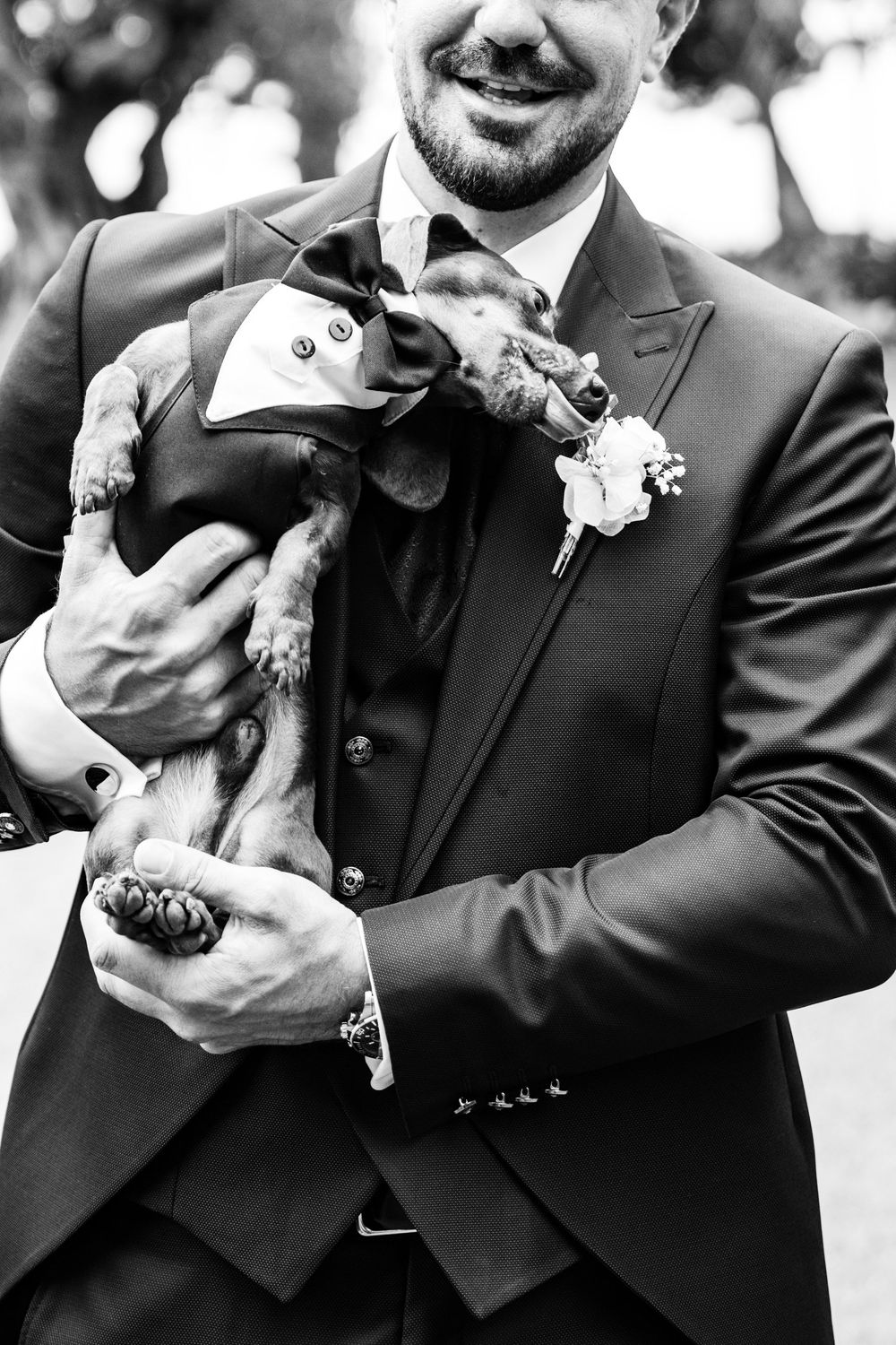Groom in dark suit holding small dachshund dog dressed in matching bow tie at wedding ceremony.