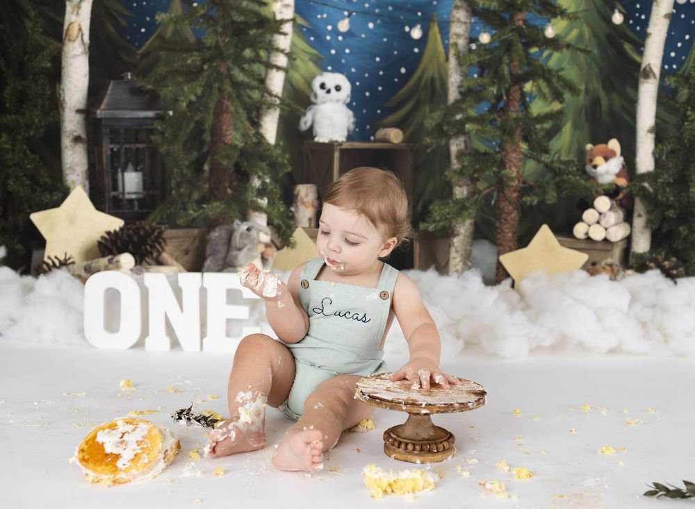 Baby's first birthday cake smash photo with woodland theme, forest backdrop, stuffed animals, and ONE sign.
