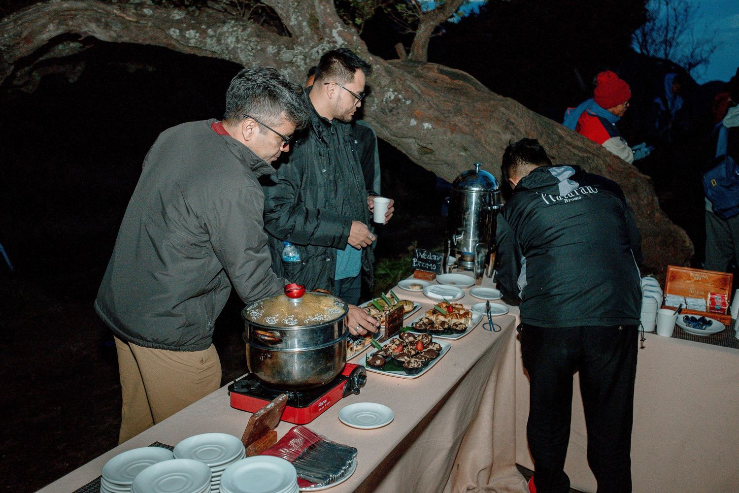 People serving food at an outdoor nighttime buffet table under a large tree with warm lighting.