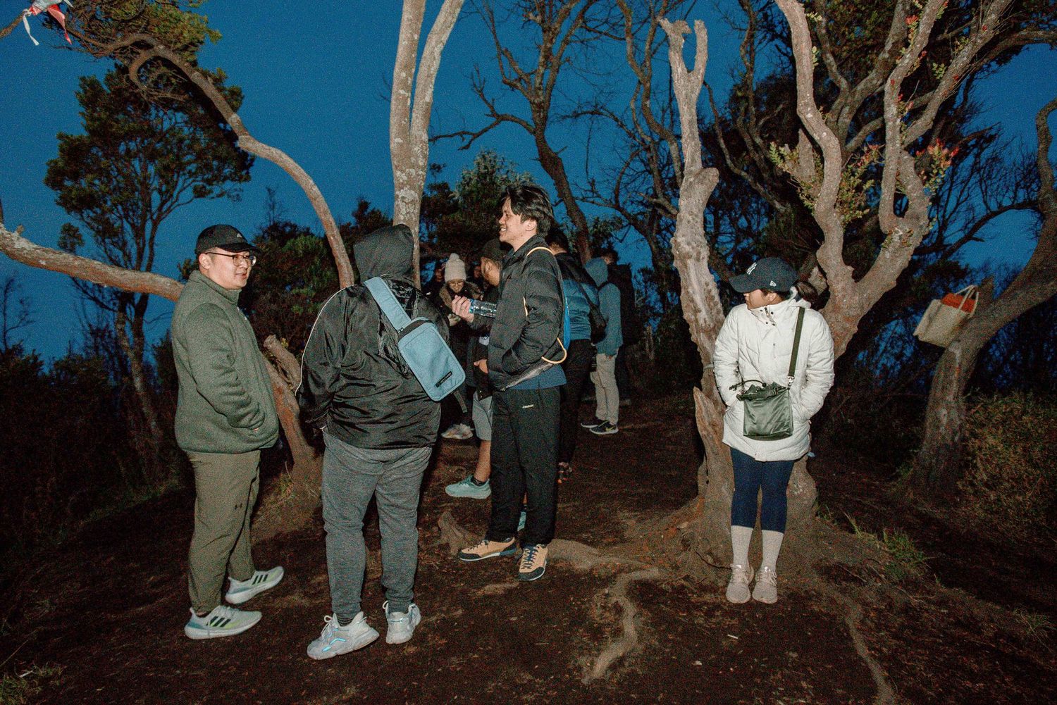 Group of hikers gathered among sparse trees on a rocky hillside during a twilight night hike outdoors.