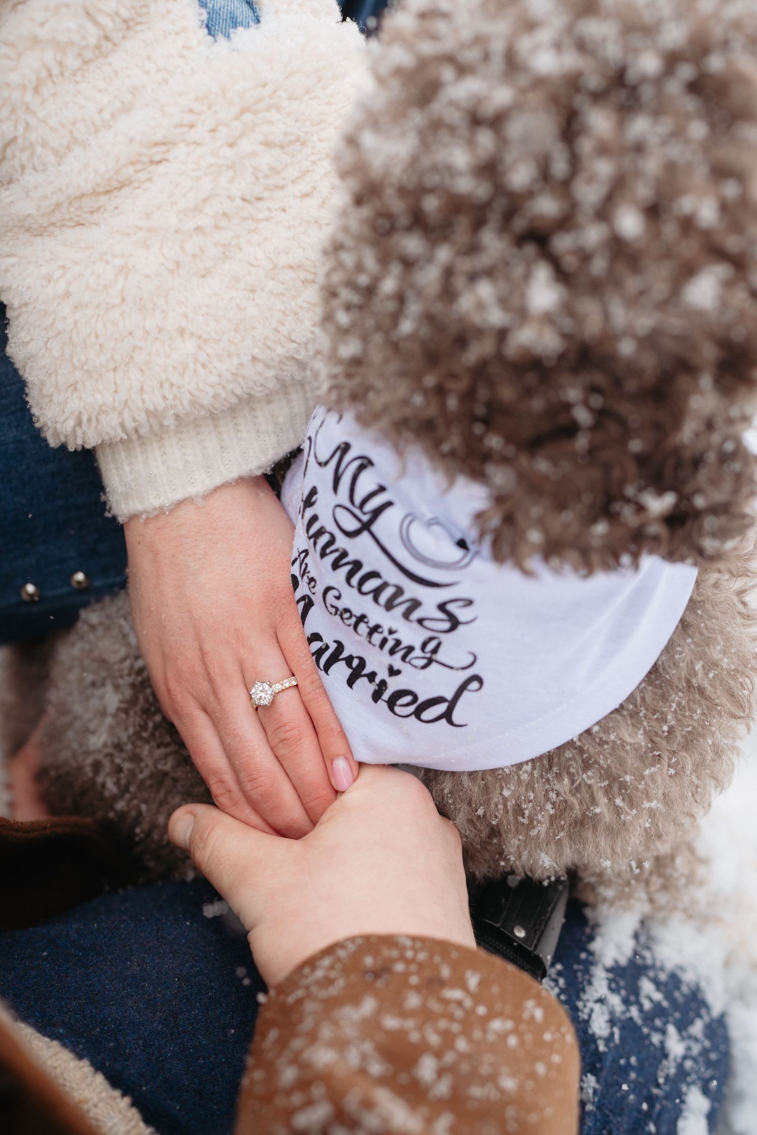 Close-up of engagement ring on woman's hand beside dog wearing a My Humans Are Getting Married bandana.