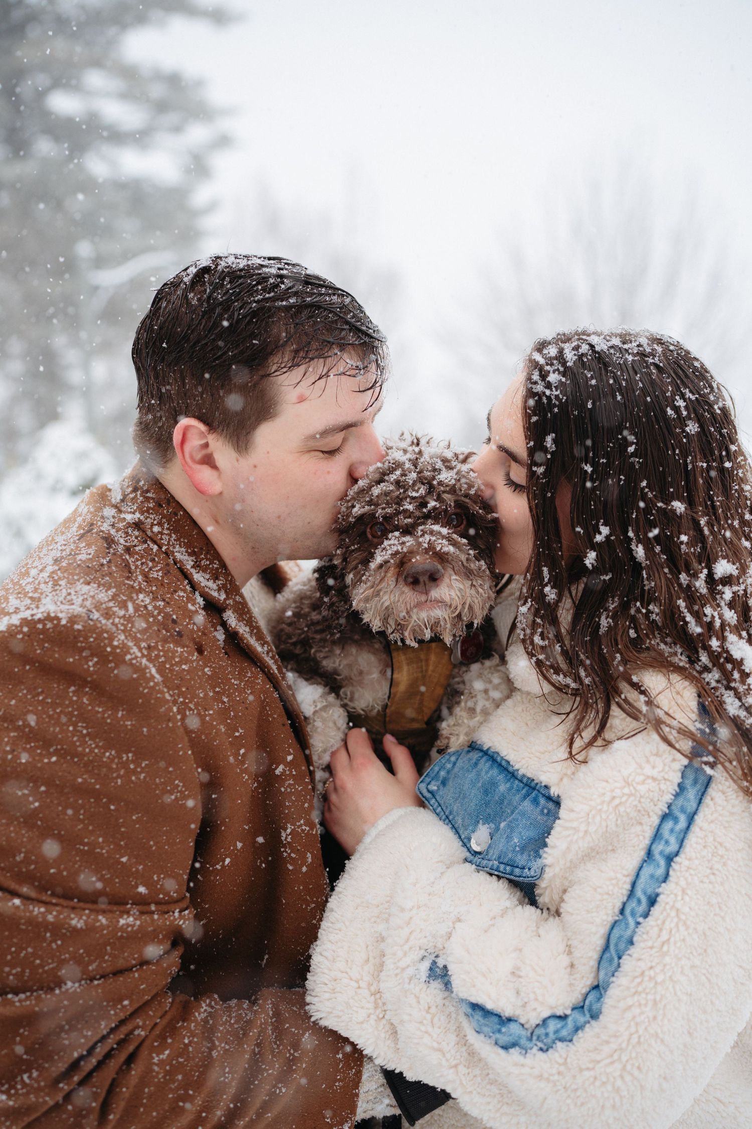 Couple kissing their fluffy brown dog in a snowy winter scene, both dusted with snowflakes outdoors.