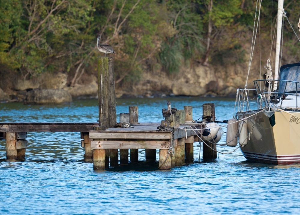 A rustic wooden boat dock on the calm tropical waters of St. Lucia, ideal for luxury villa walkthroughs an island excursions.