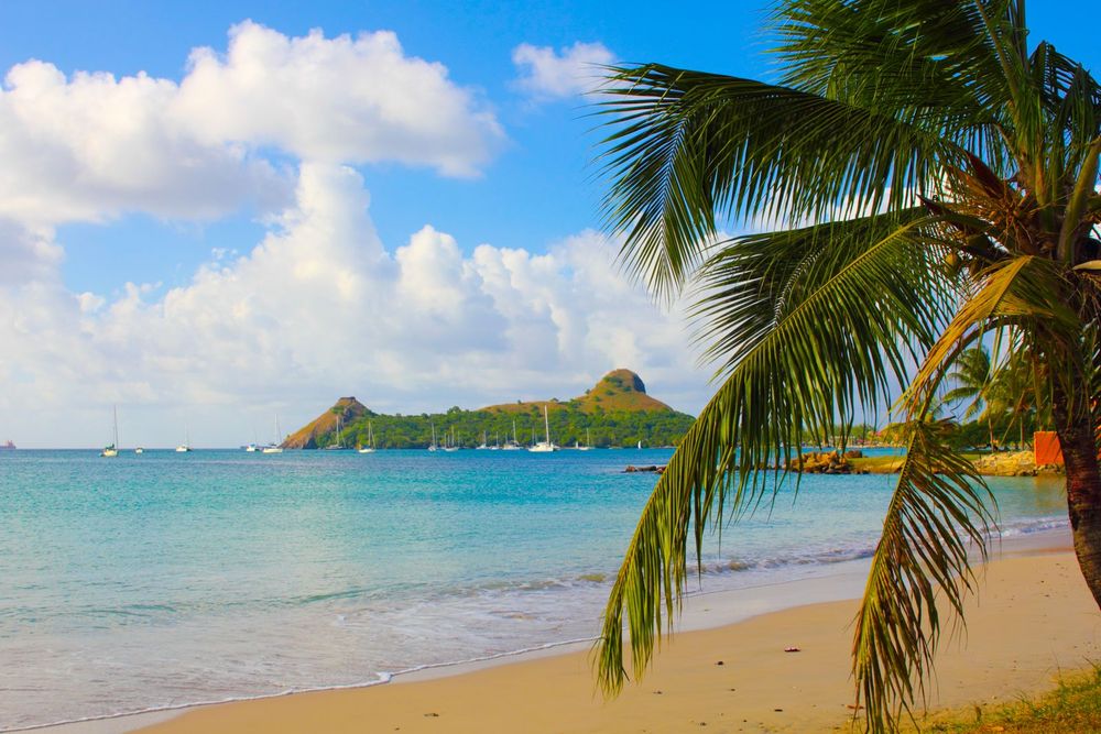 Tropical Caribbean beach with palm tree, golden sand, sailboats, and lush green headland in background.