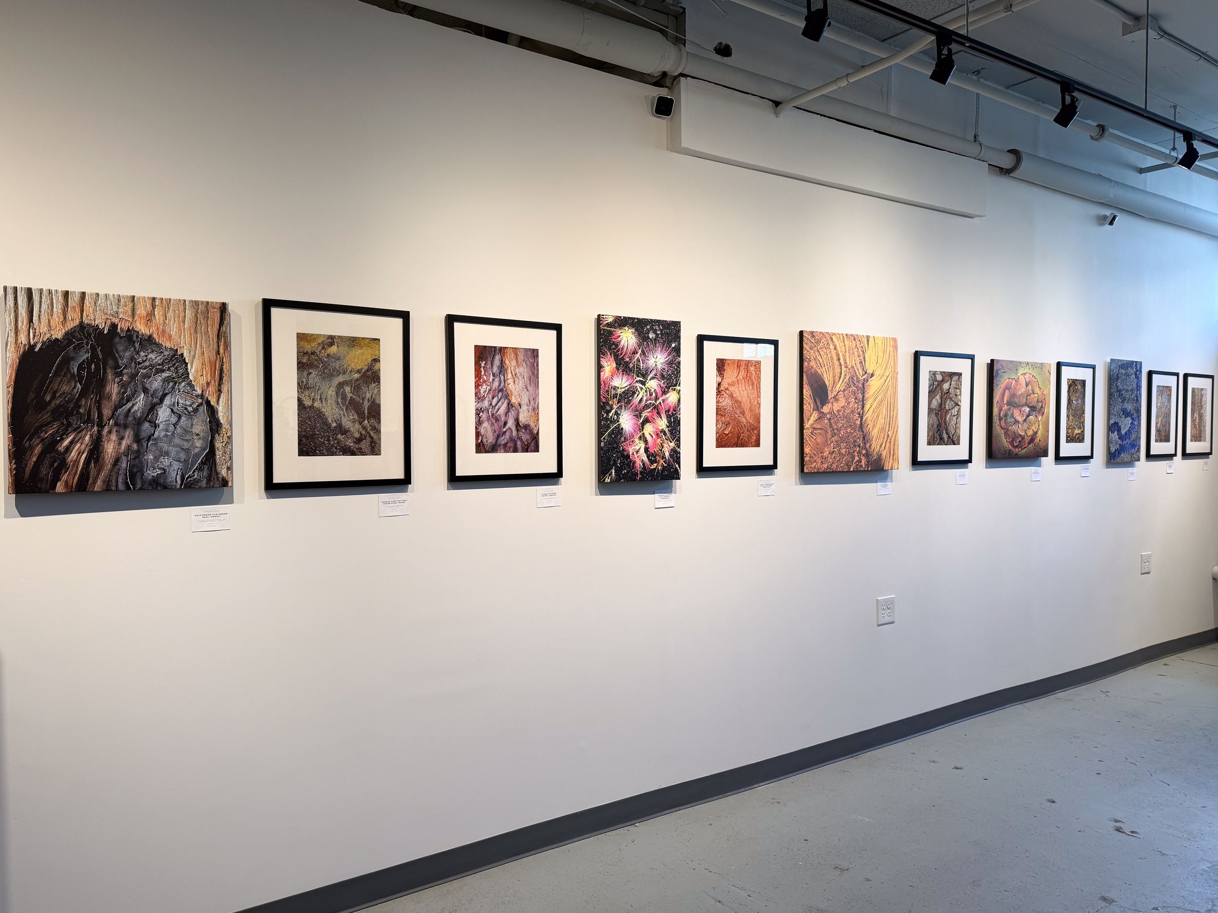 Art gallery wall displaying framed artwork and mixed media pieces in black frames on a white wall under track lighting.