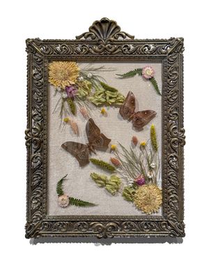 Ornate antique frame displaying pressed dried flowers and two brown moths on linen background.