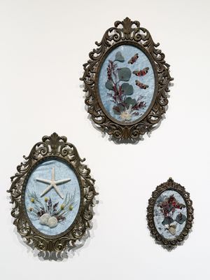 Three ornate oval bronze frames on white wall displaying pressed seaweed, starfish, shells, and botanical sea life arrangements.