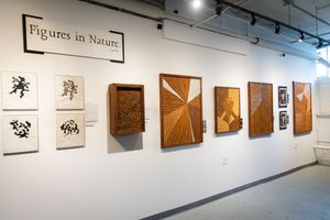 Art gallery wall displaying Figures in Nature exhibit with wooden relief panels and black ink drawings on white canvas.