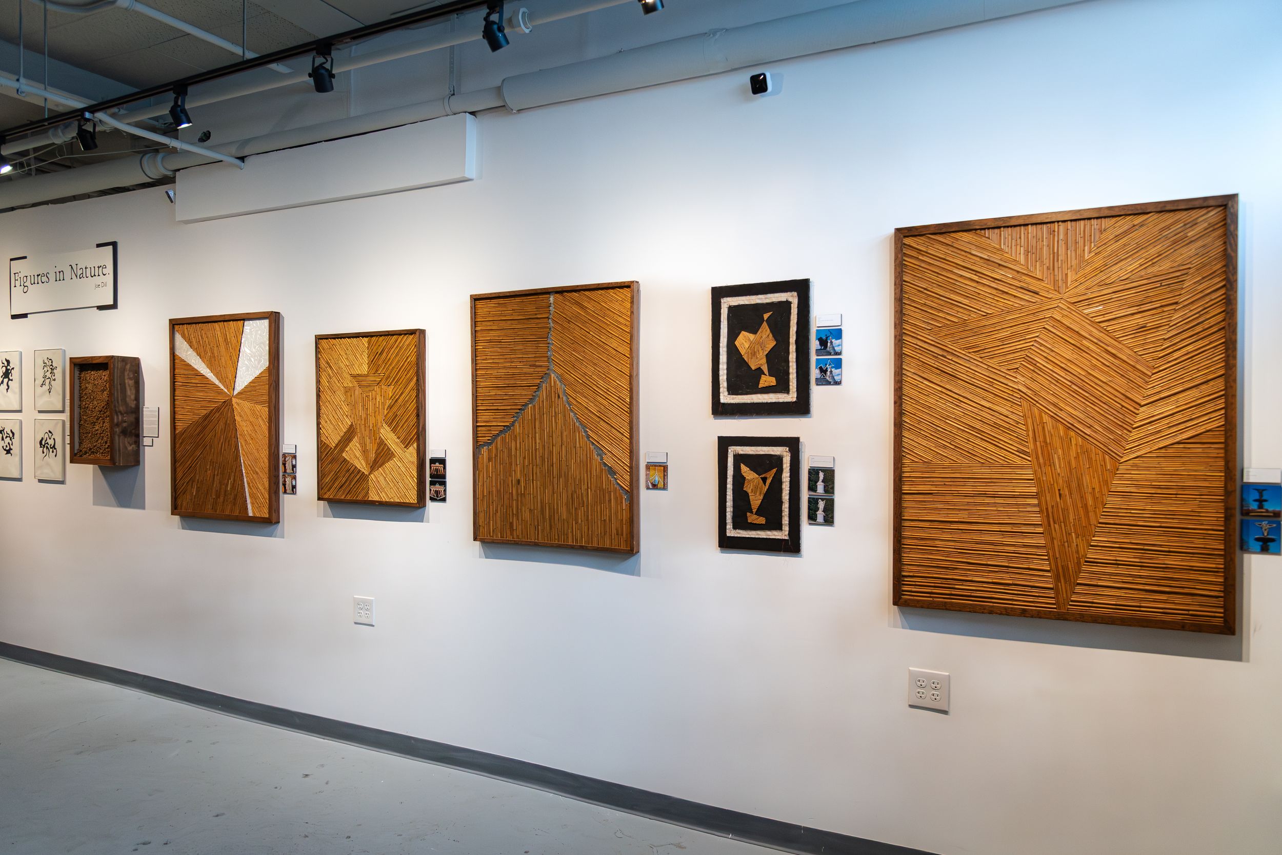 Art gallery wall displaying wooden textured panel artworks and framed prints in a modern exhibition space.