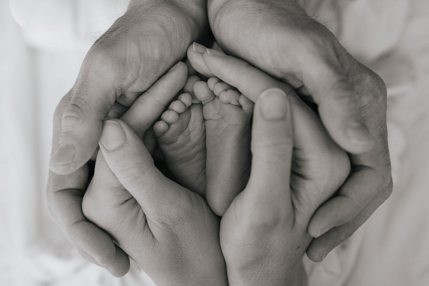 Black and white photo of adult hands cradling tiny newborn baby feet, symbolizing family love and protection.