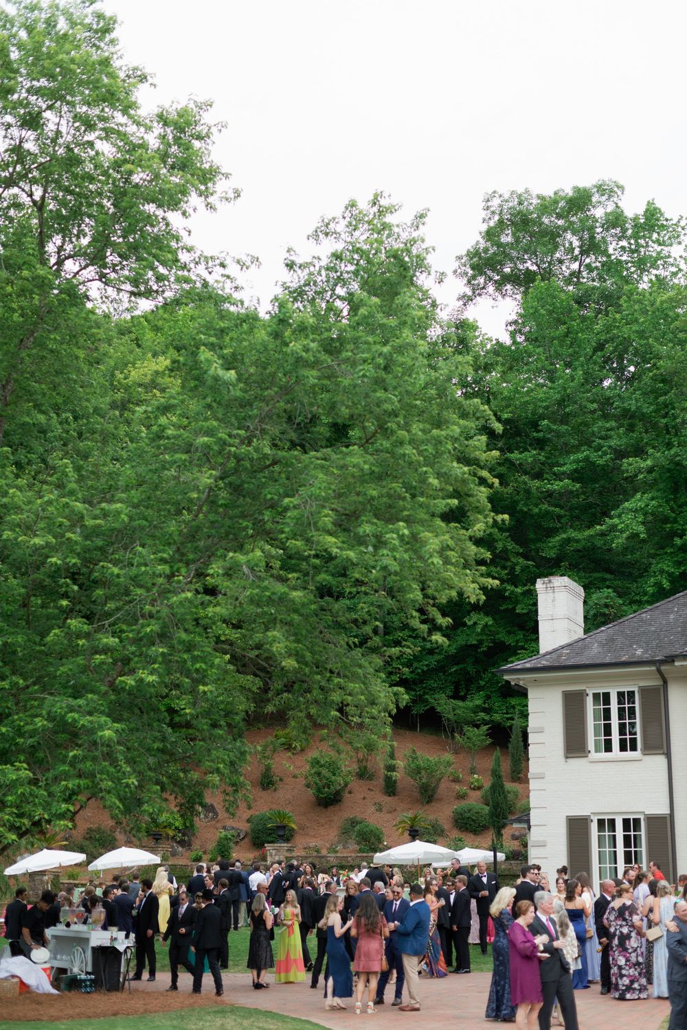 Wedding guests mingle on outdoor patio surrounded by lush green trees beside a white colonial-style venue.