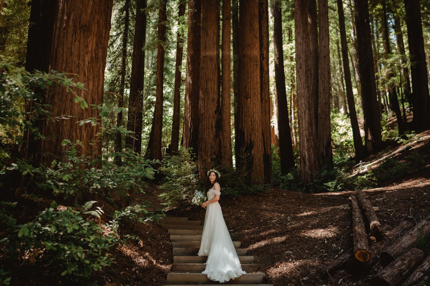 redwood forest wedding bridal portrait