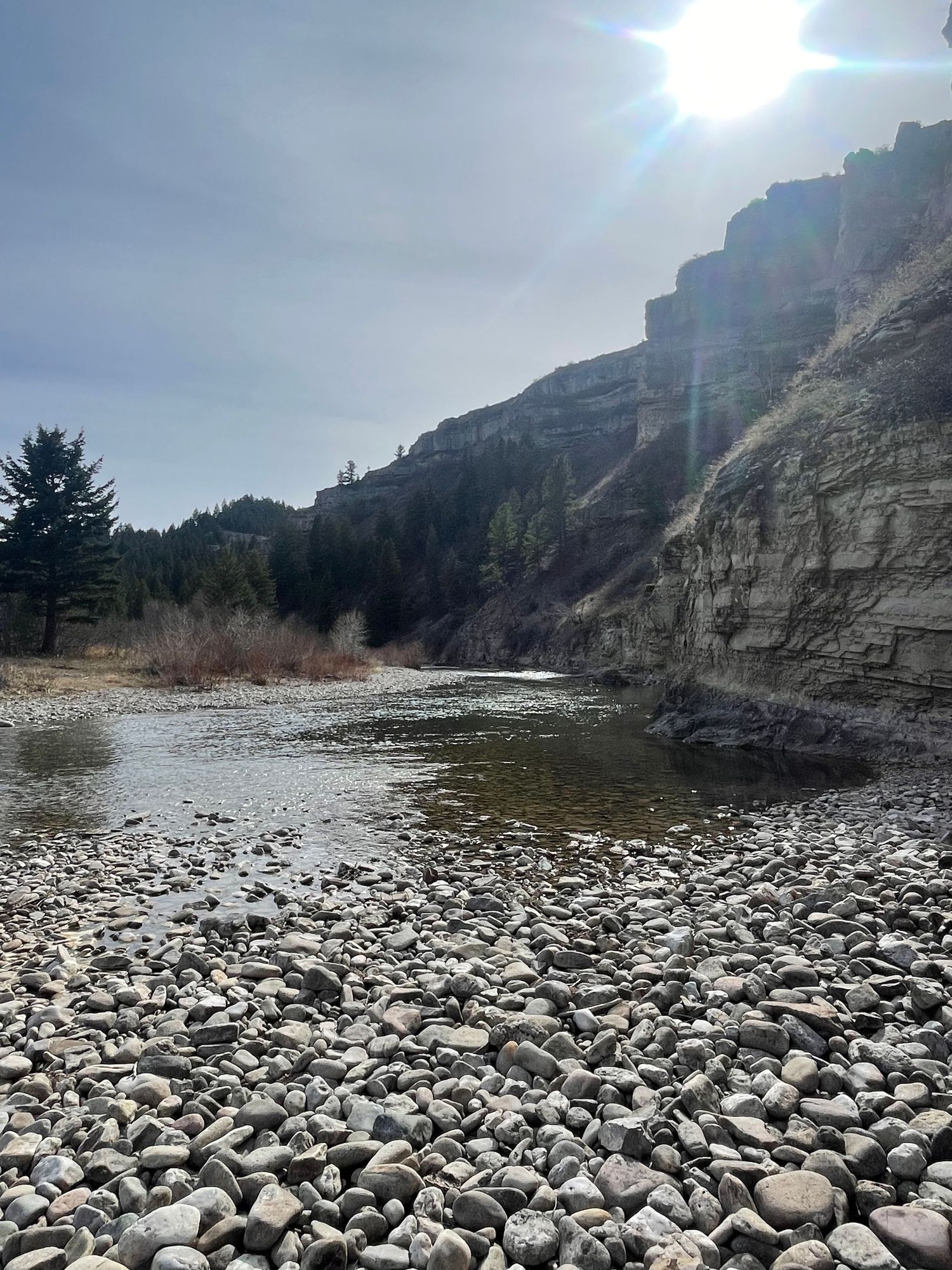 Rocky riverbed beside towering sandstone cliffs with evergreen trees and sun flare in a rugged canyon landscape.