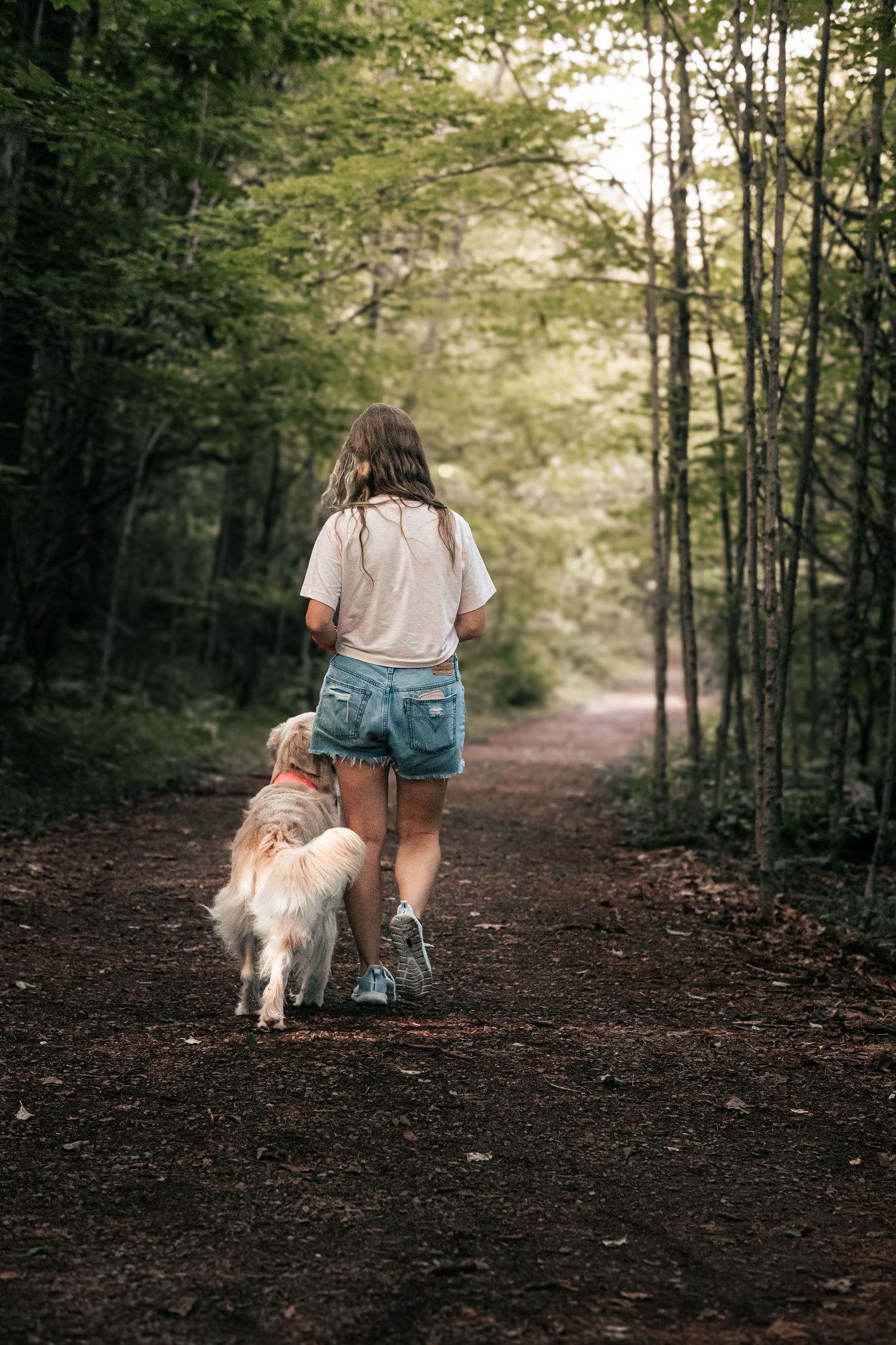 Girl walking with golden retriever dog on a forest trail path surrounded by green trees.