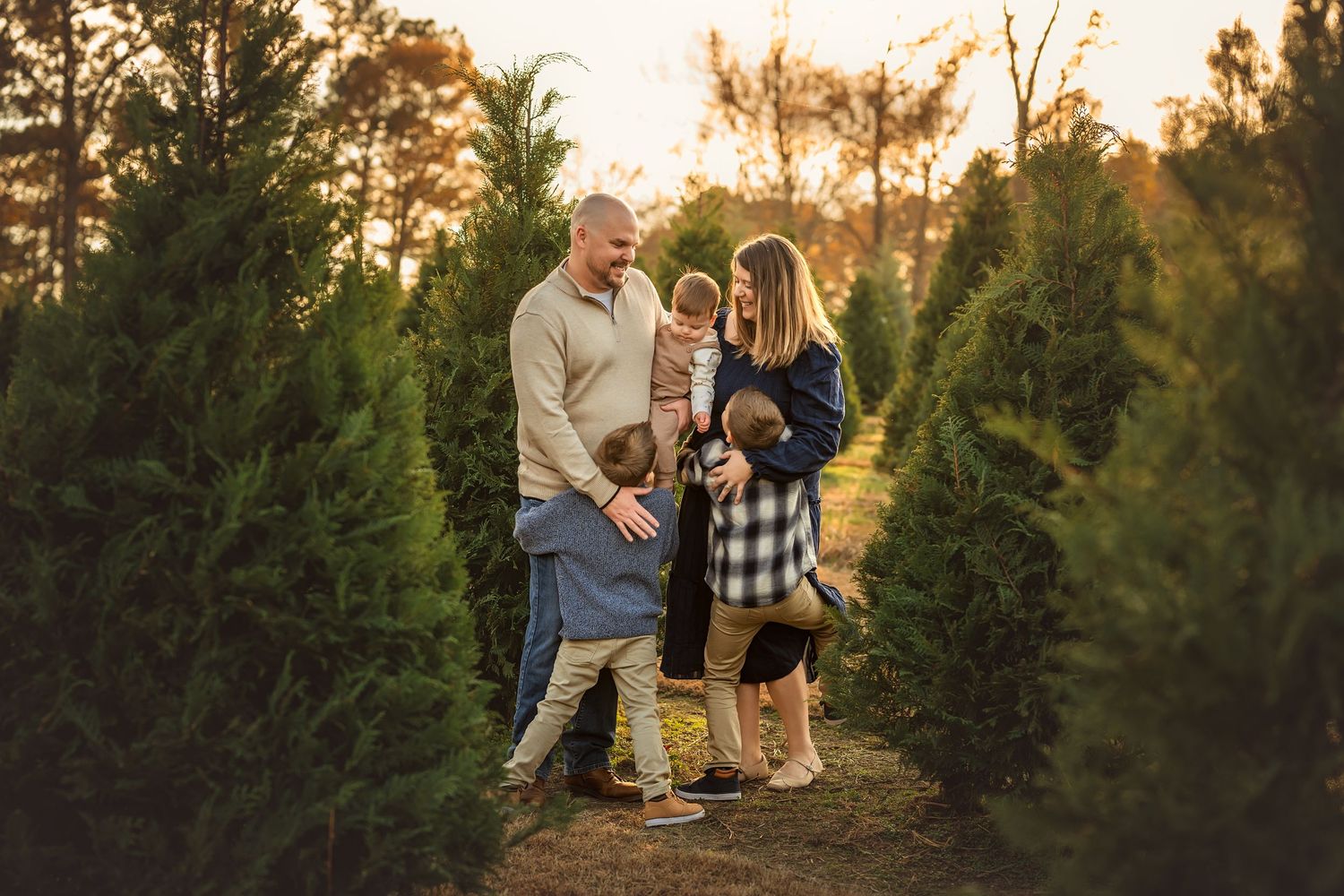 Family posing among Christmas trees at a tree farm during golden hour sunset light.