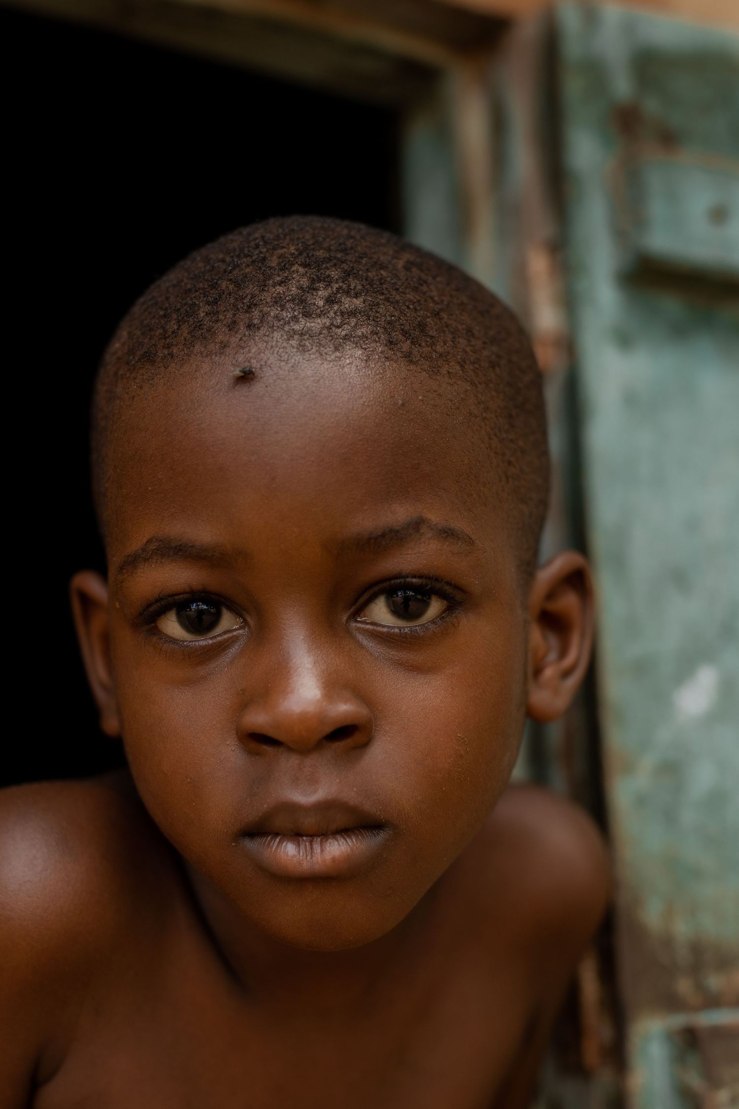 portrait of a boy