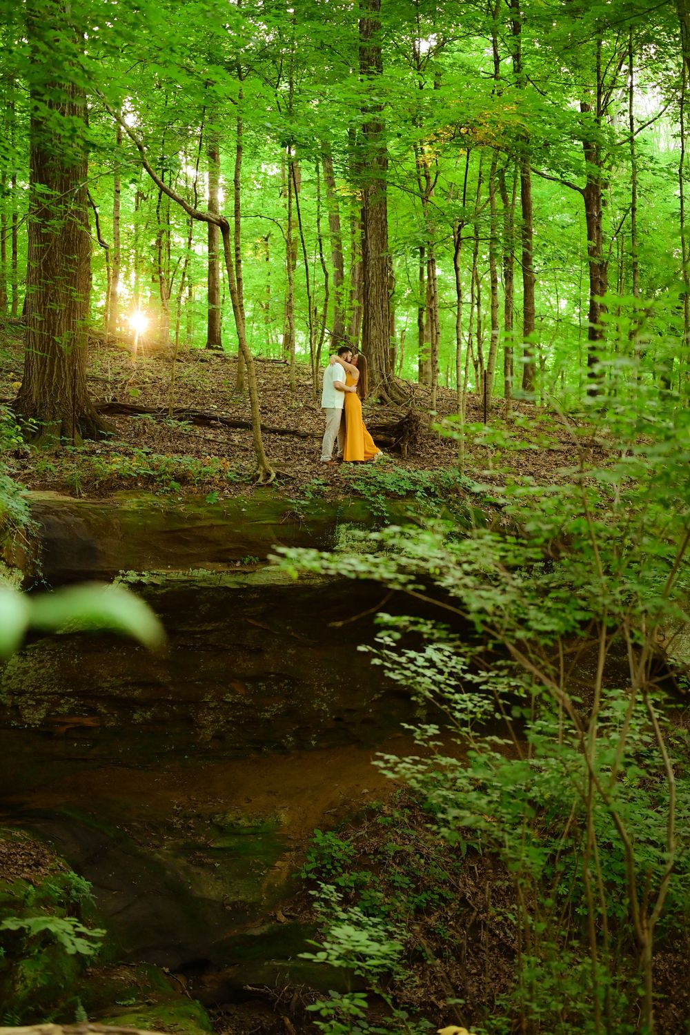 Beautiful forest scene with sunlight streaming through lush green trees above a rocky outcrop near a pond.