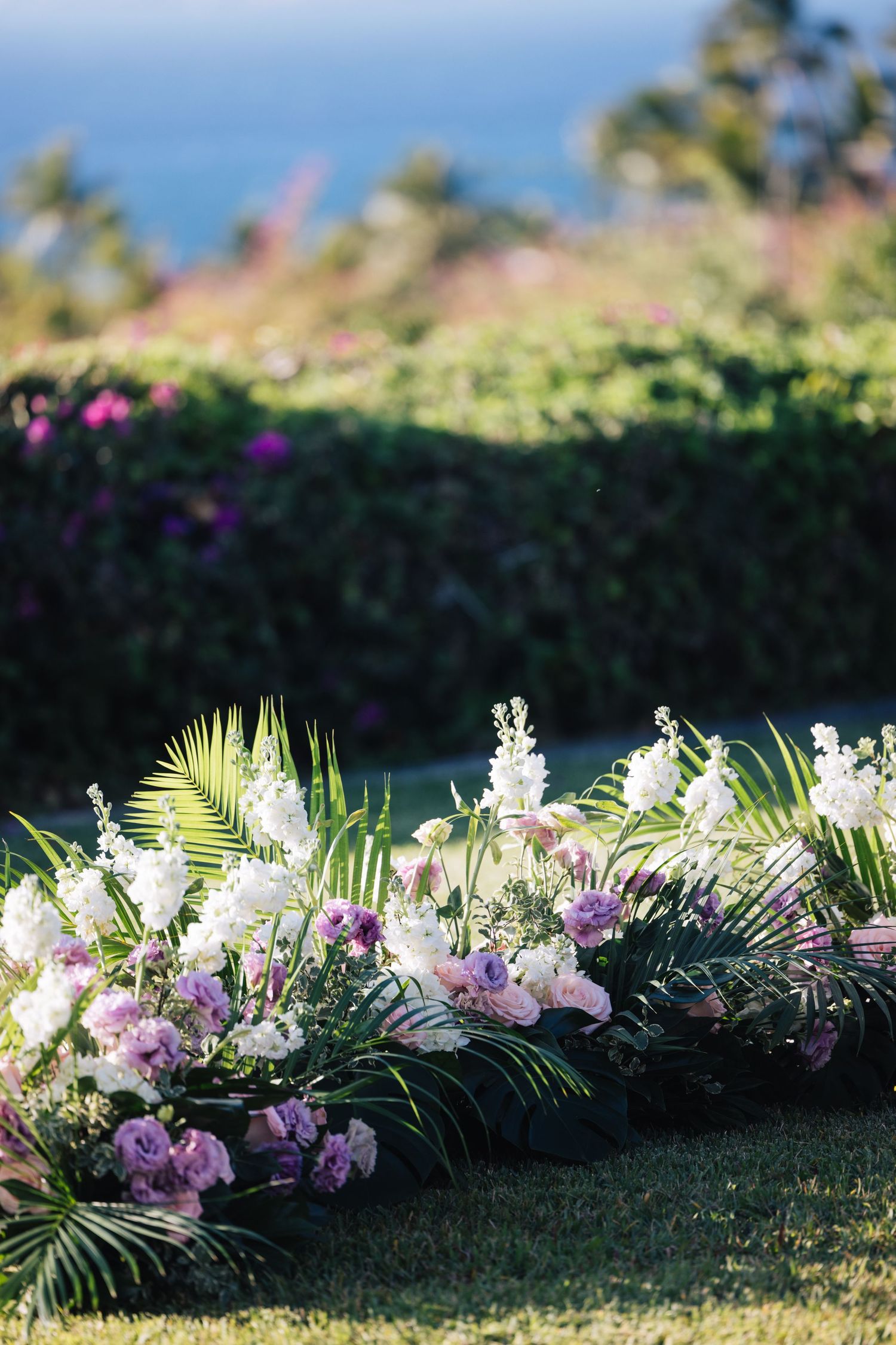 Olowalu Plantation House Photographer - Aihara Visuals