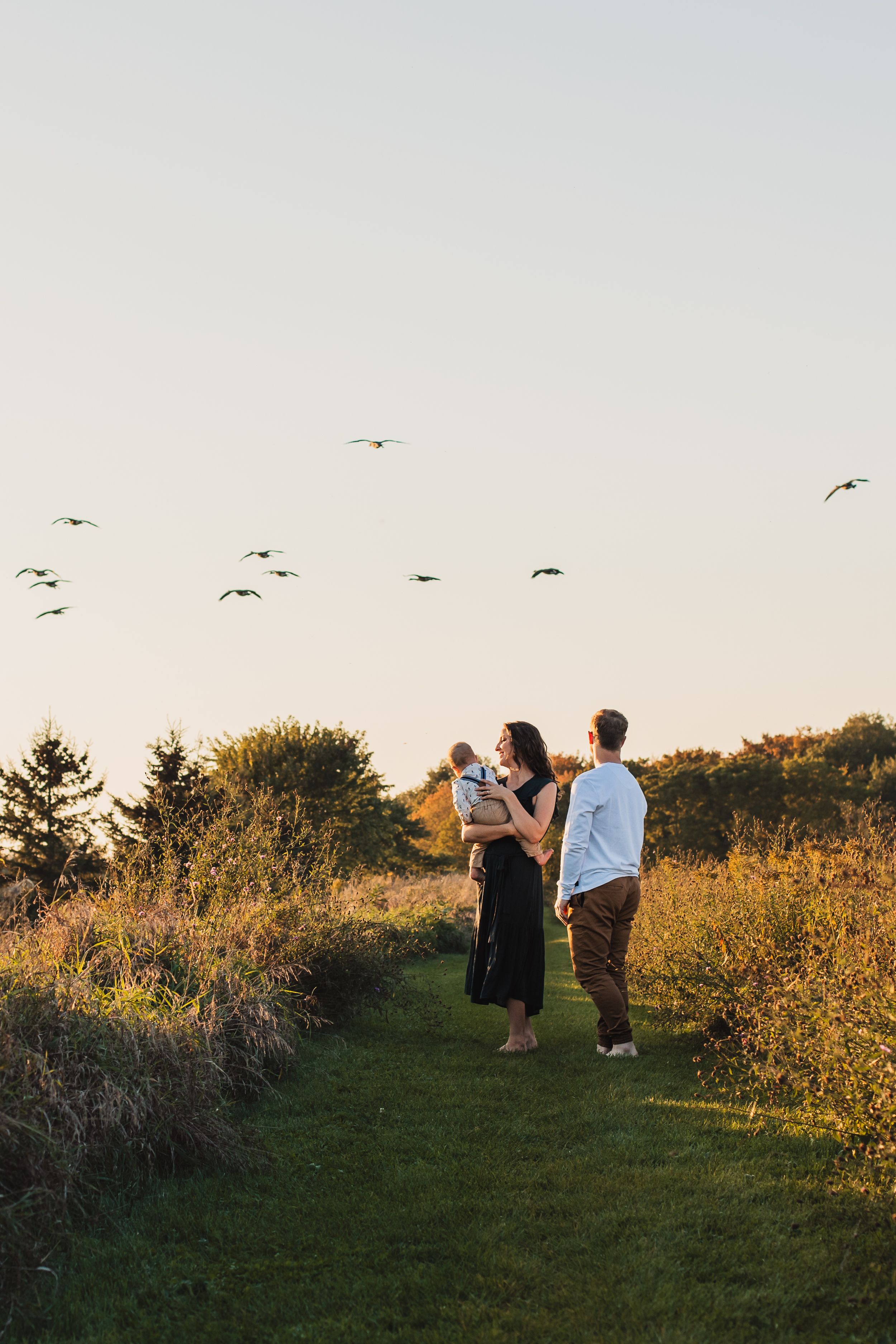 A family of three walk along a grassy path at sunset with golden light illuminating wildflowers and birds flying overhead.