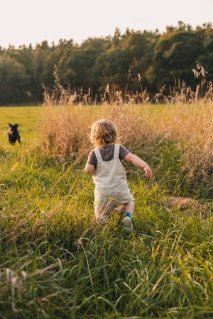 A black dog and small toddler playfully run and jump through tall golden grass in a sunlit meadow at sunset.