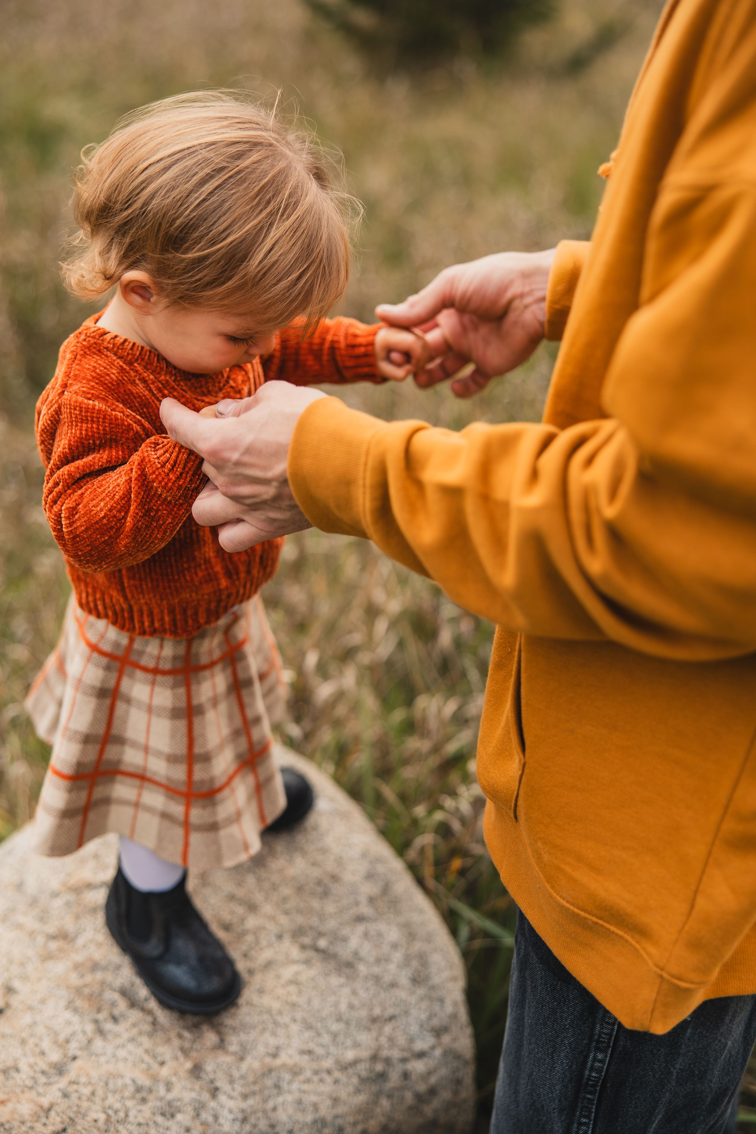 A heartfelt image of a young girl standing on a rock holding hands with her father. Stratford, Ontario