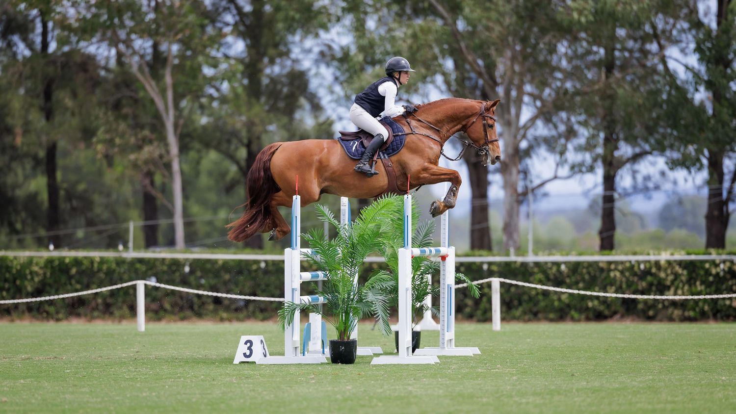Jumping at Kurri Burri Polo Club. © Simon Scully, 2026.