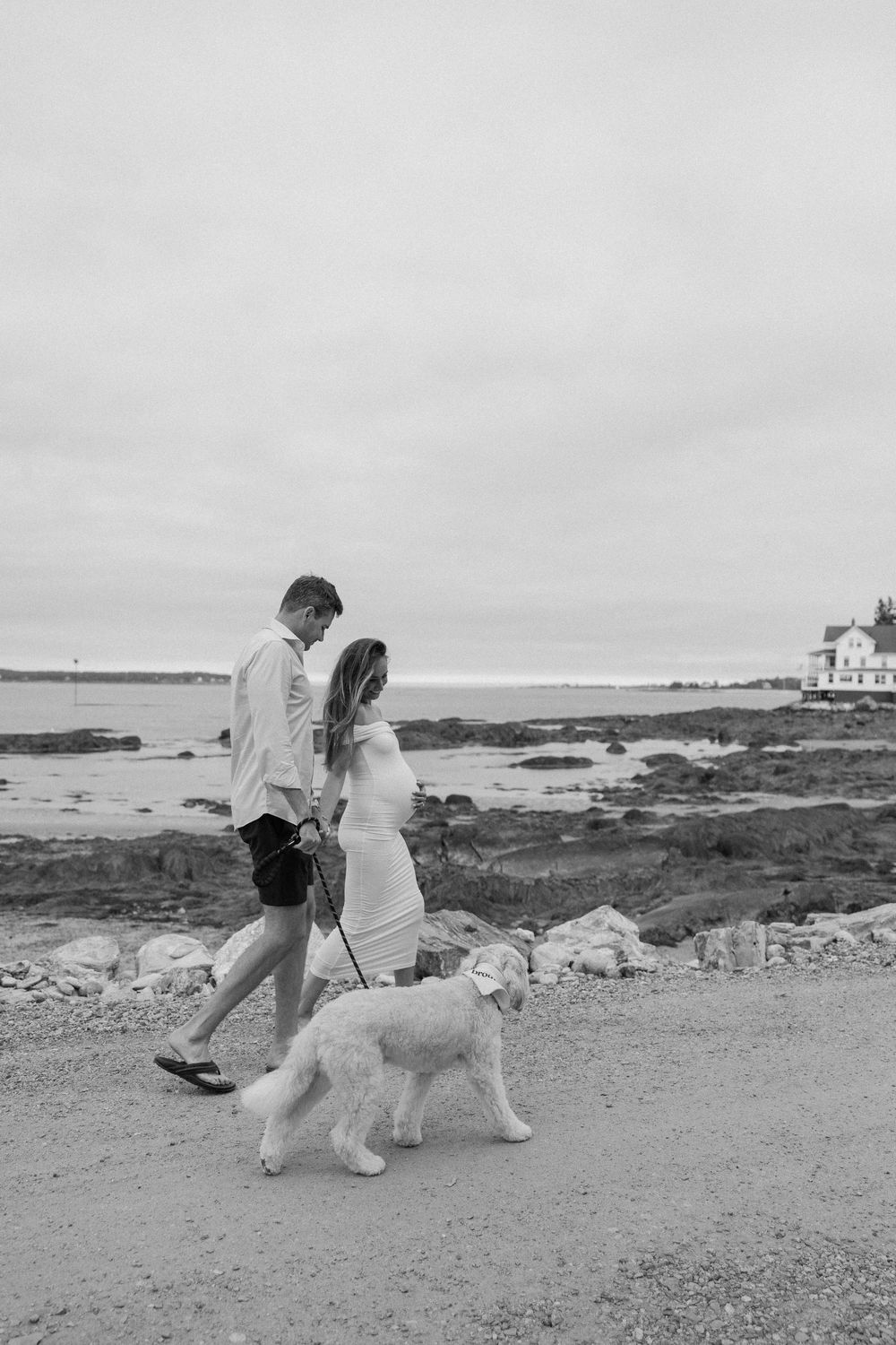 Dog walking along a rocky beach shoreline on an overcast day.