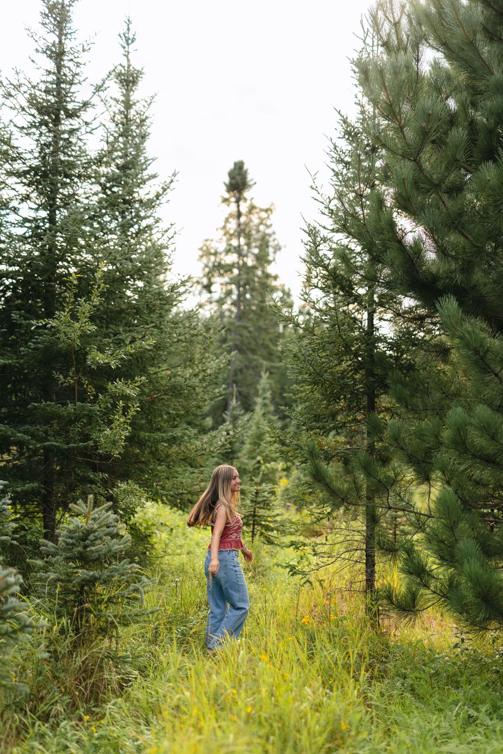 Person in blue jeans stands among evergreen trees and tall yellow wildflowers in a sunny mountain meadow.