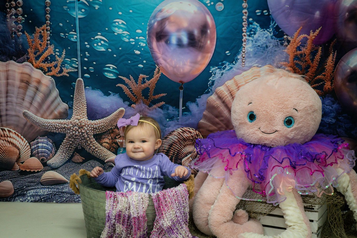 Under the sea themed photo setup with starfish, shells and plush decorations.