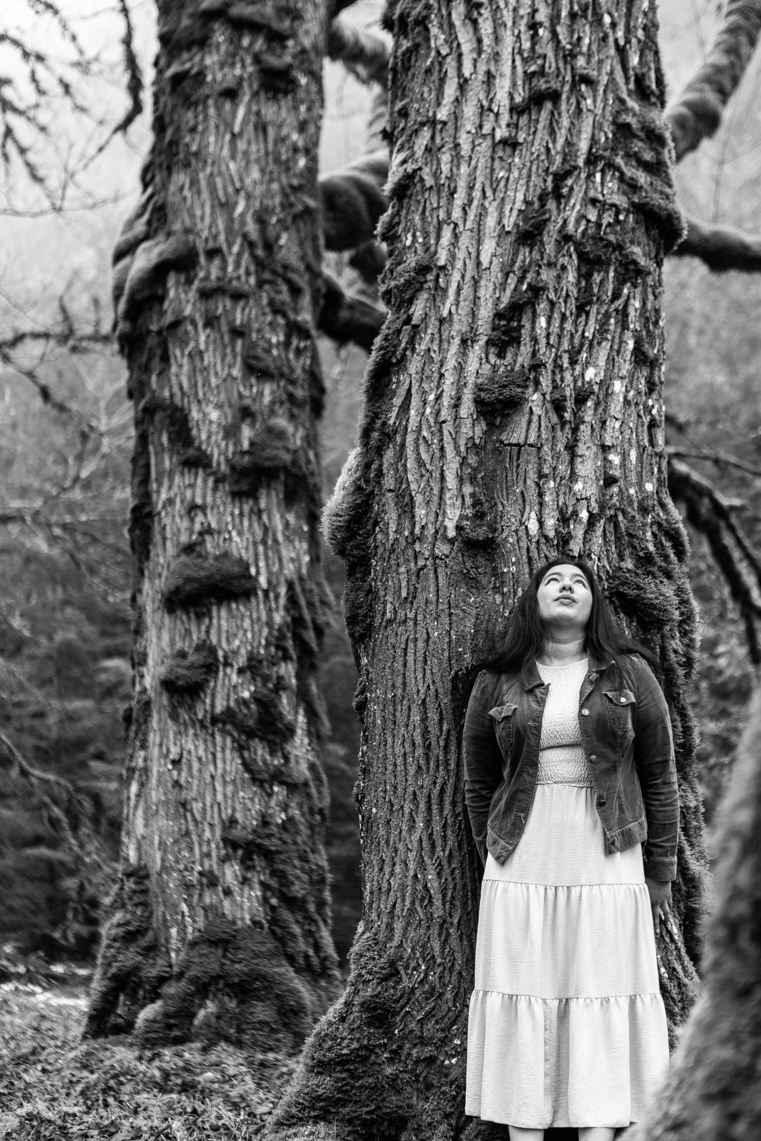 A black and white photo series showing a figure in a white dress standing among large tree trunks in a forest setting.