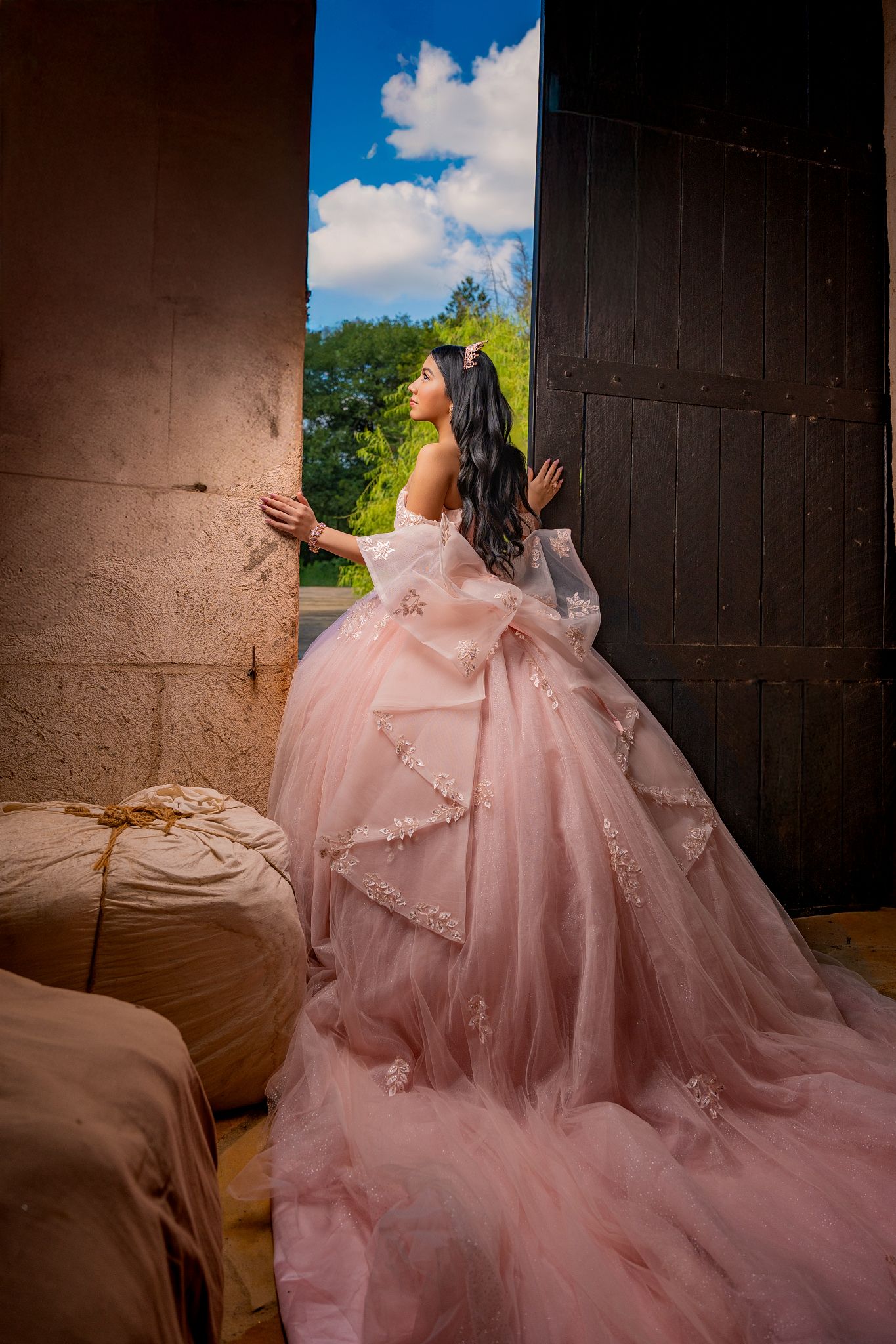 A flowing pink ball gown dress photographed in a rustic barn setting with dramatic lighting and natural sunlight.