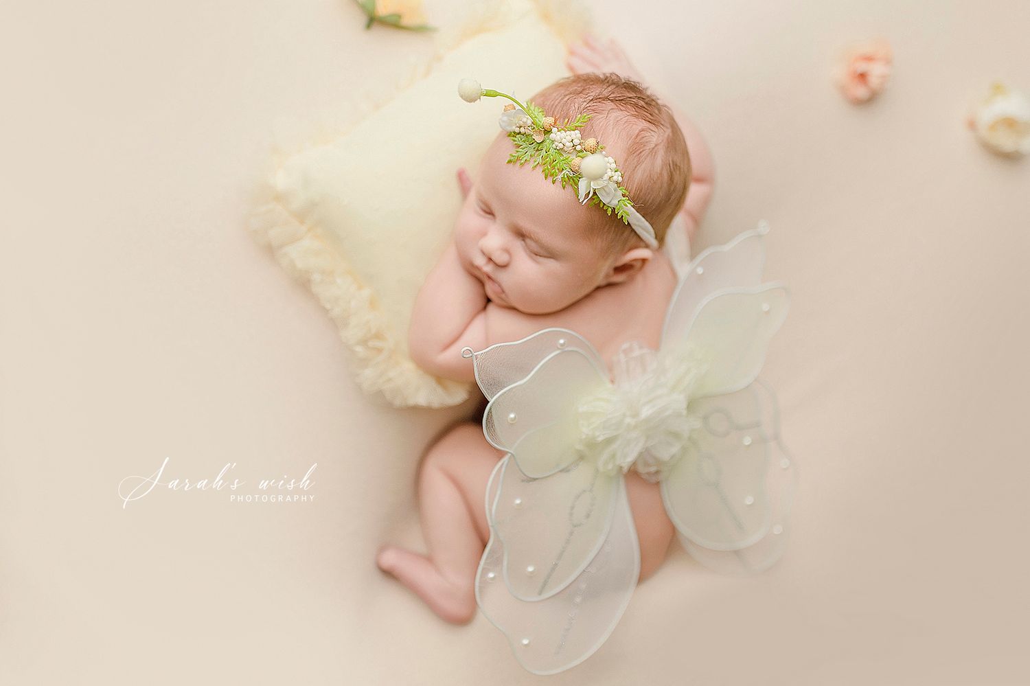Calgary Newborn, Baby, Maternity, Milestone & Family Photography | 10+ Years Expertise | 100% Client Satisfaction