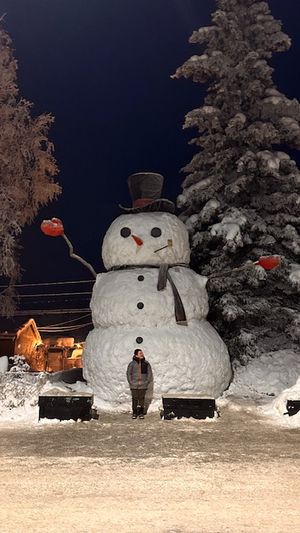 snowzilla
