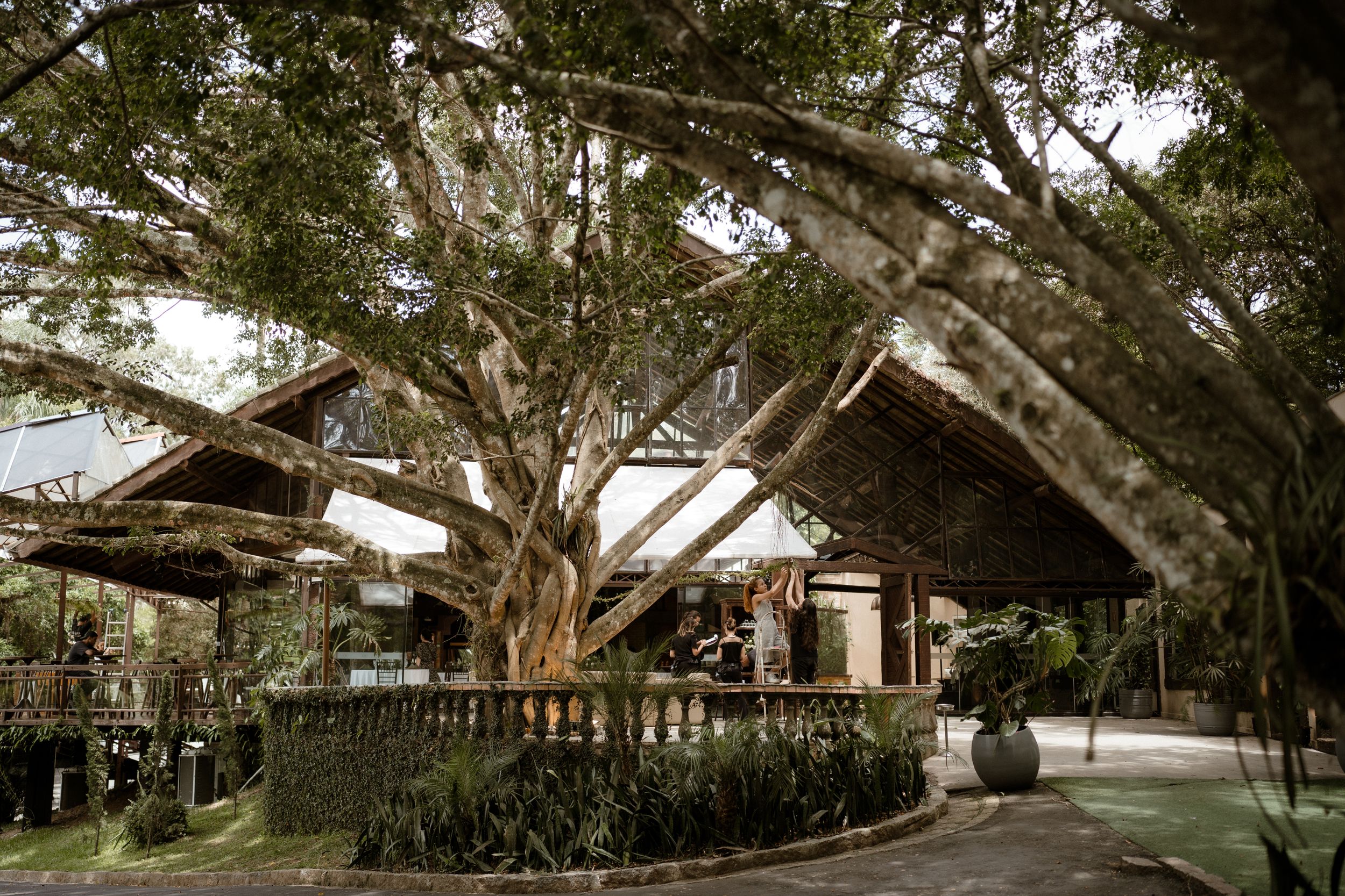 Outdoor wedding venue with rustic architecture nestled among large trees.