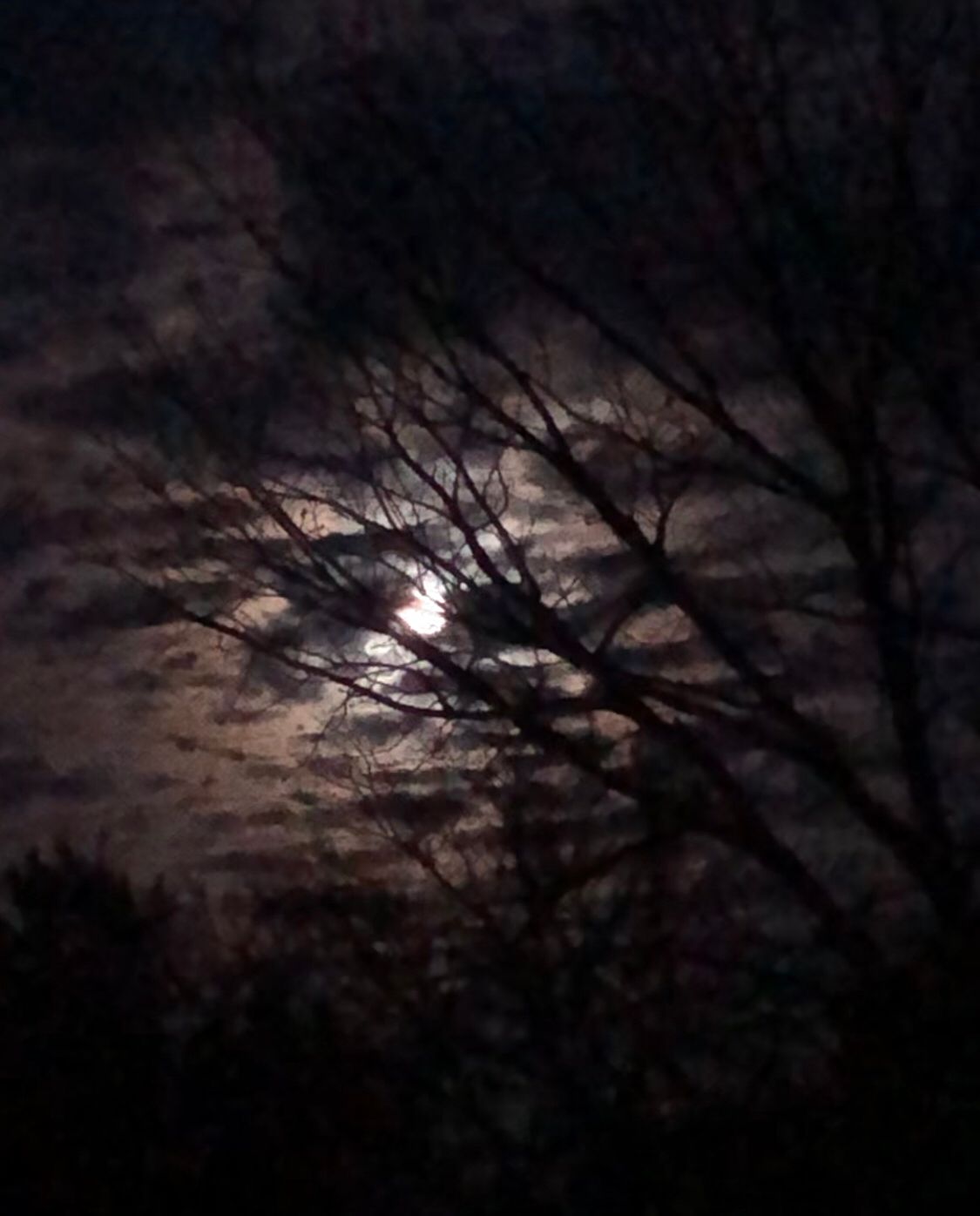 Moon_01