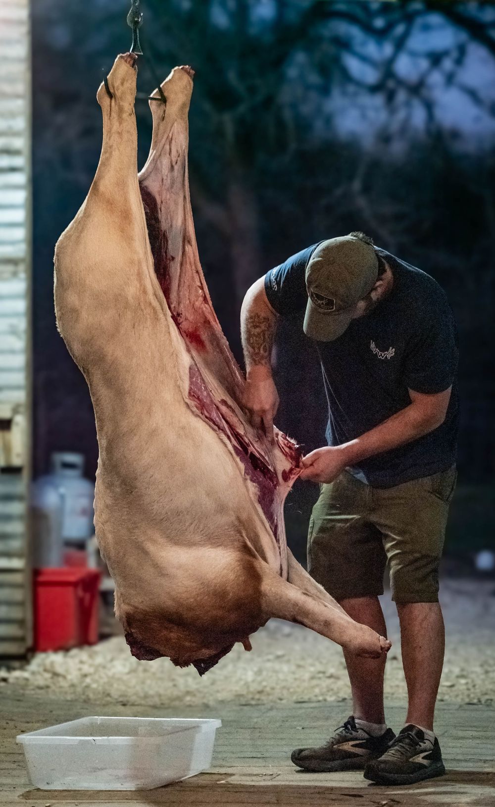 A butcher processes a hanging pig carcass in a sequence of preparation steps for meat production.
