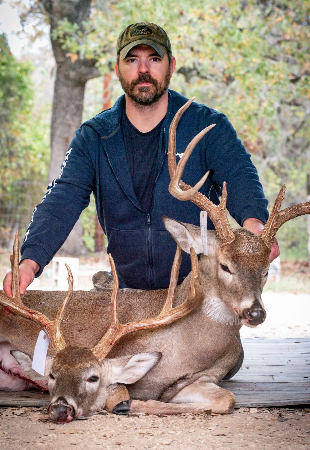 A hunter poses with a harvested whitetail buck showing the antlers and body of the deer from different angles.