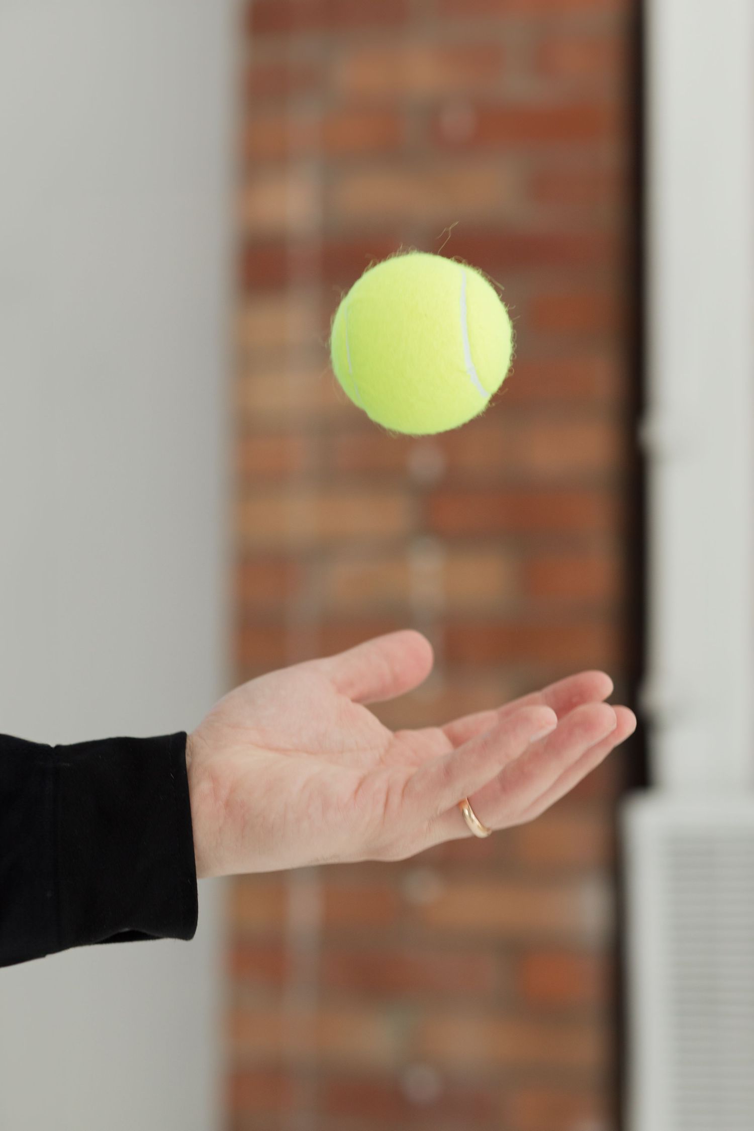 Hand catching a floating tennis ball against brick wall background.